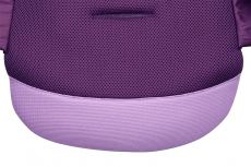 Дитячий прогулянковий візок Aprica Luxuna CTS Purple